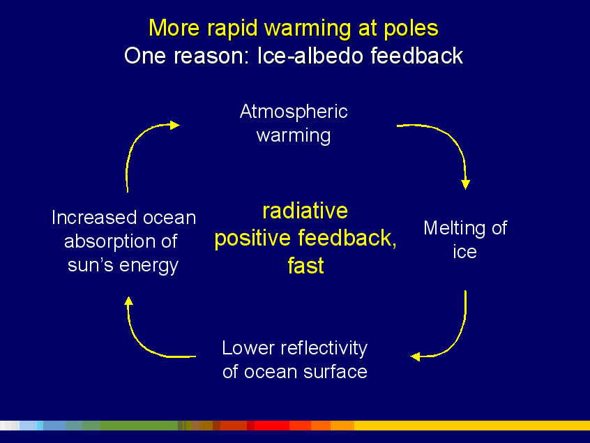 More Rapid Warming at Poles More Rapid Warming at Poles