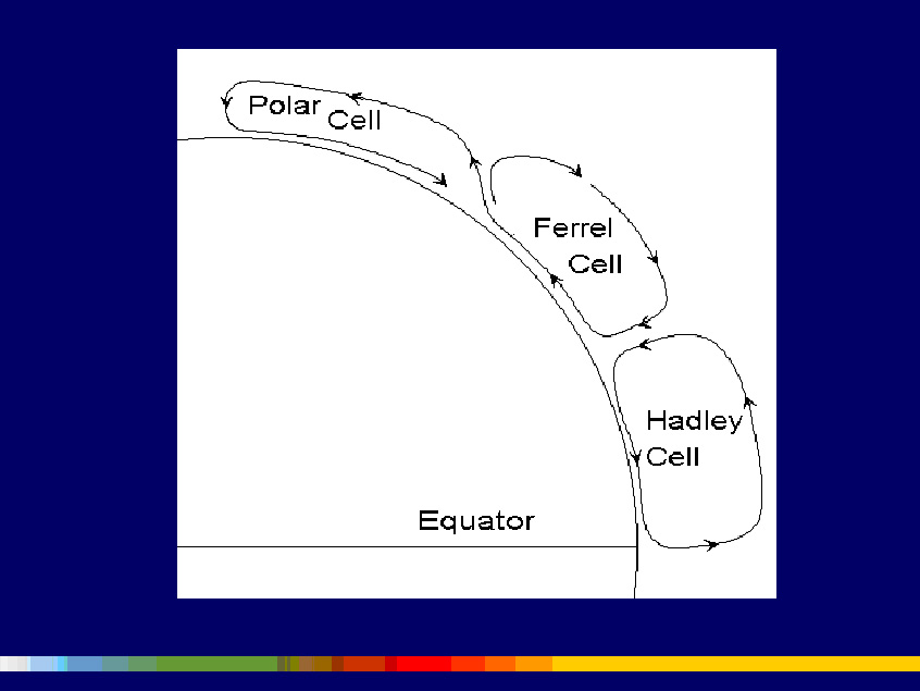 Northern Hemisphere Hadley Cell Circulation Northern Hemisphere Hadley Cell Circulation